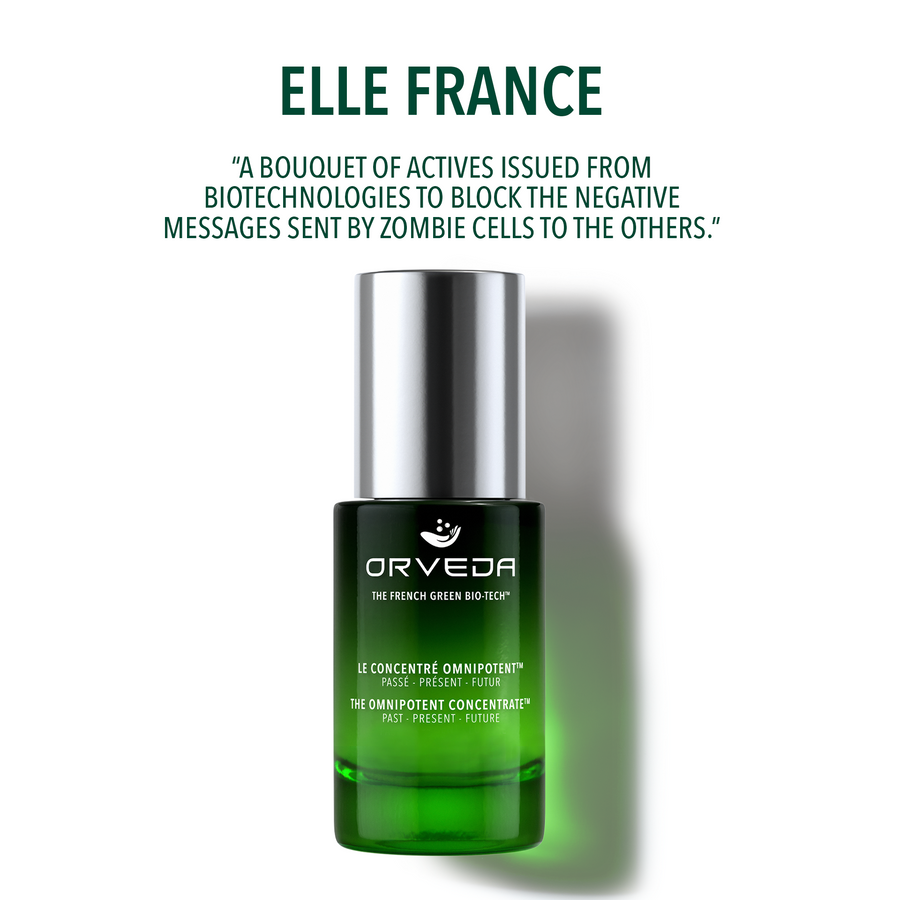 Main header image for article "ELLE FRANCE"